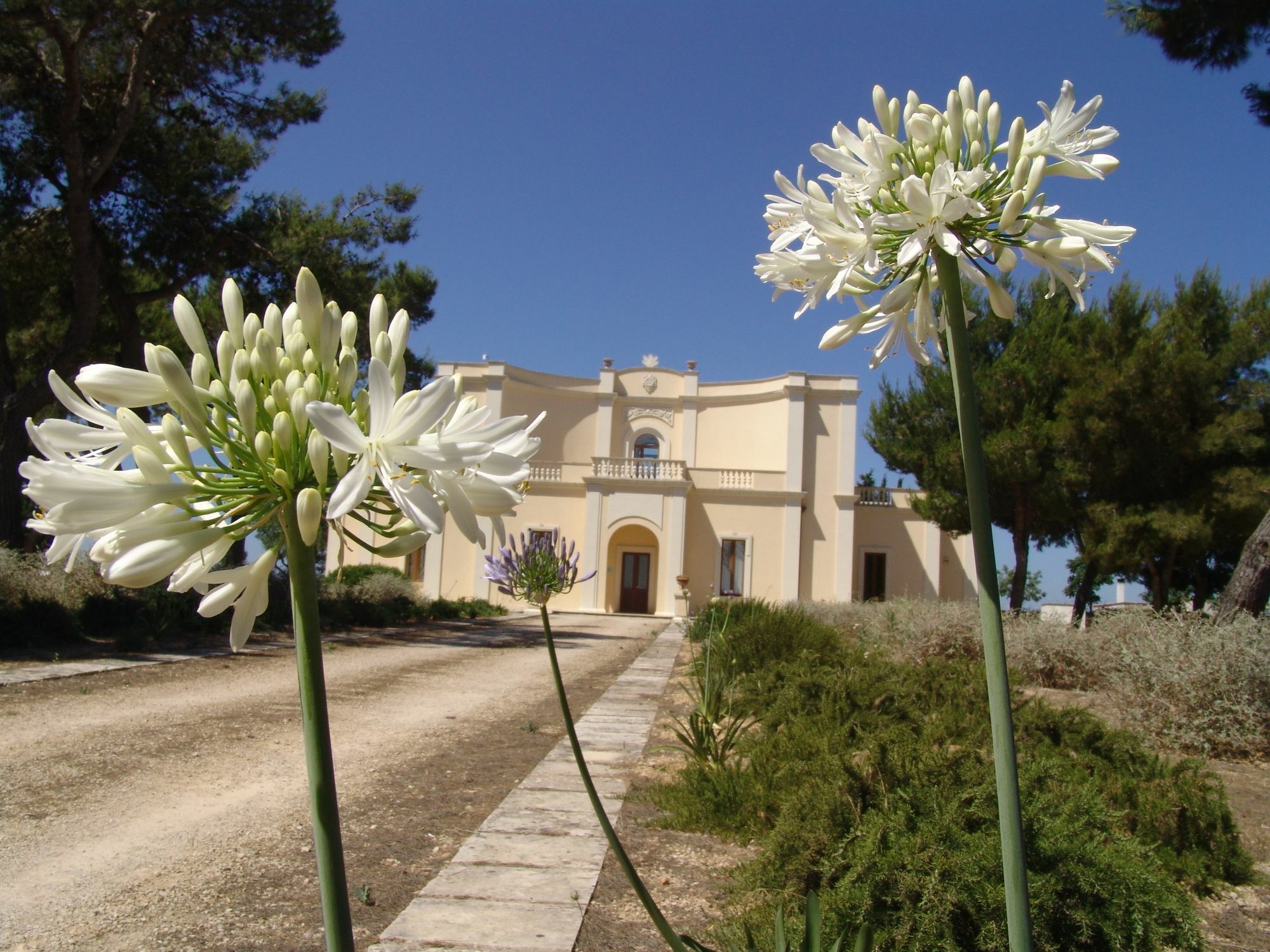 Tenuta Nucci Relais Hotel Nardò Exterior foto